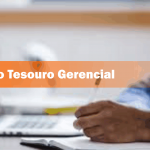 Tesouro Gerencial Básico