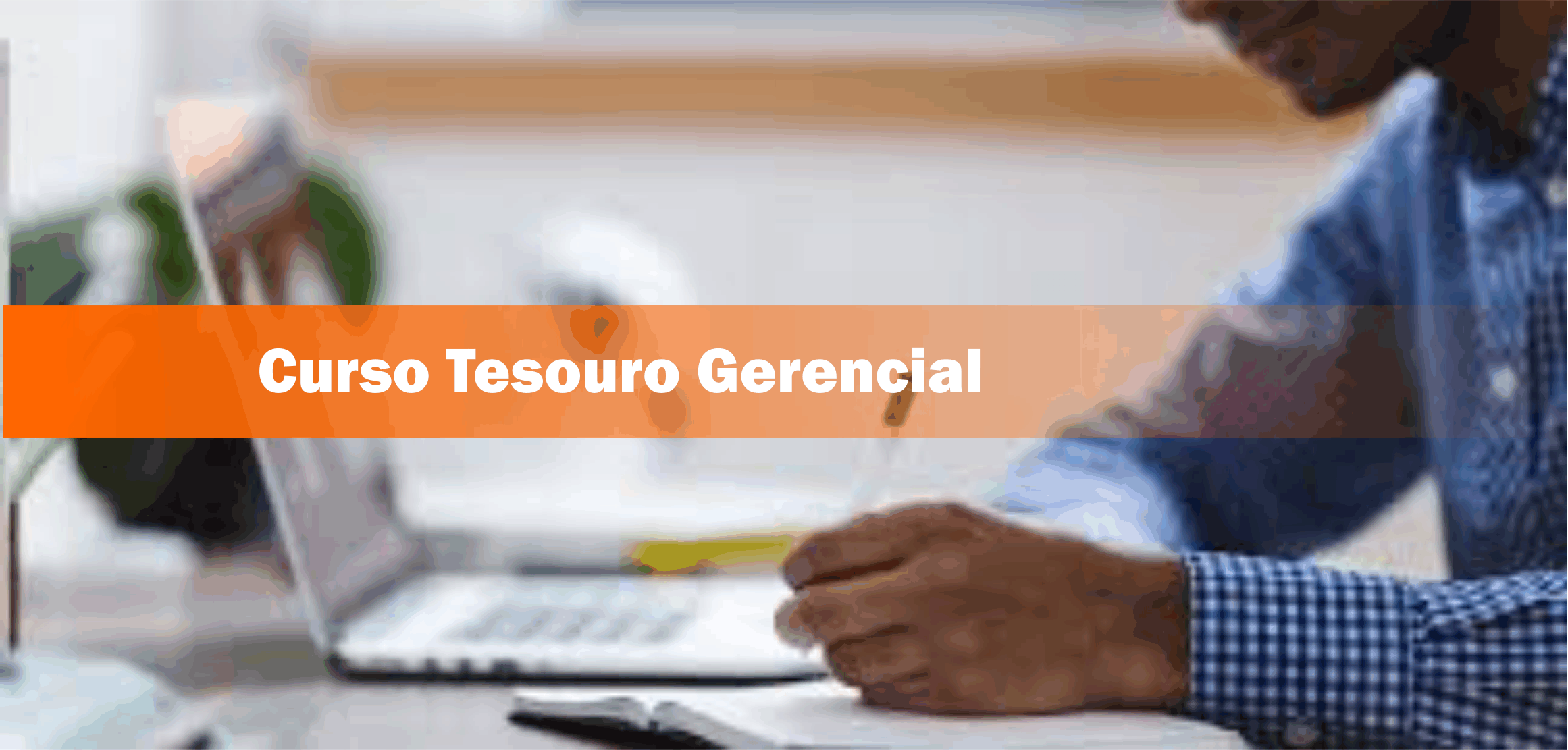 Tesouro Gerencial Básico