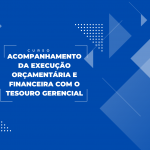 Acompanhamento da Execução Orçamentária no Tesouro Gerencial